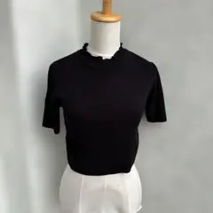 ブラックリブ編み半袖トップスのサムネイル