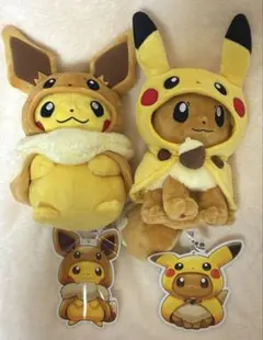 ポケモンセンター 沖縄限定 ウィンディポンチョを着たイーブイ