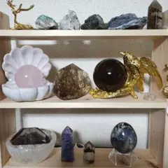 引っ越しセール