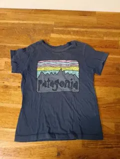 Patagonia ネイビー Tシャツ Sサイズ