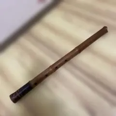 Item thumbnail for item 964f763c-a1e4-4ac8-9125-4a7d39fce714