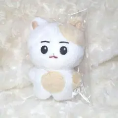 ヒスン ぬいぐるみ 10cm ENHYPEN マスター 人形 한국뵤 doll - メルカリ