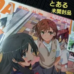 J38まとめ売り！とある科学の超電磁砲 クリアファイル 雑誌 バインダー バック J38まとめ売り！とある科学の超電磁砲 クリアファイル 雑誌 バインダー