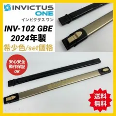 金色 2024年製 インビクタスワン INV-102 GBE 掃除機 本体 美品 - メルカリ