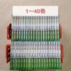 裁断済　風の大地　全巻セット 風の大地 1~最新巻 [マーケットプレイス コミックセット] |本