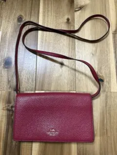 Item thumbnail for item 623942ab-d202-46ef-afb2-4611b244aed7