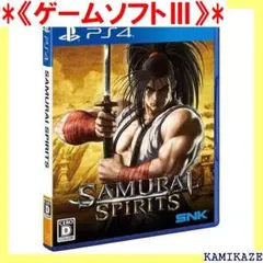 《ゲームソフトⅢ》