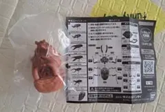 Item thumbnail for item d38b267f-ac79-4394-b46e-b5ffabf52045