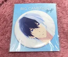 七瀬遙 缶バッジ Free! Clear Blue Series 缶バッジセット - メルカリ