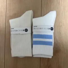 GUNZE ホワイト ブルー ストライプ ソックス