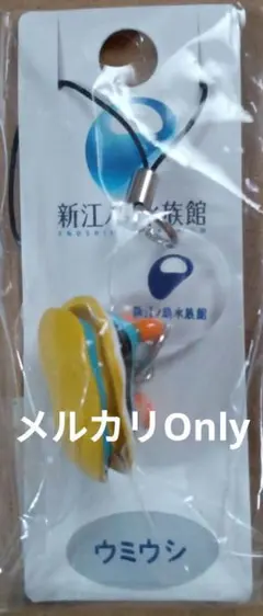 新江ノ島水族館 　ウミウシ　キーホルダー