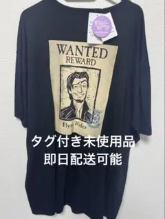ディズニーシー　ファンタジースプリングス　ラプンツェル　ユージーン　Tシャツ