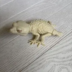 クリーム色のトカゲ（ヤモリ）フィギュア