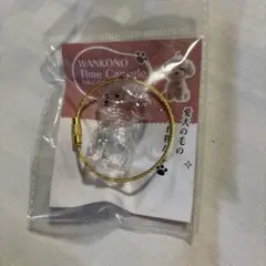愛犬の毛の入れ物