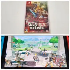 ゼルダ無双 厄災の黙示録 Switch Nintendo スイッチ
