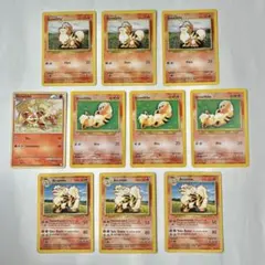 ポケモンカード英語 ガーディ（Arcanine）ウィンディ（Growlithe
