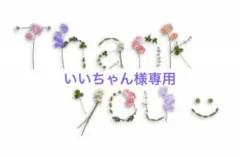 いいちゃん様専用　梅干し中粒500g ×2のサムネイル