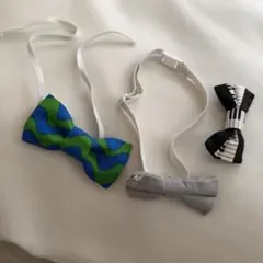 Item thumbnail for item de680174-483a-4ccd-84fc-458f0e349b04