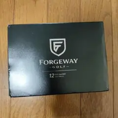 FORGEWAY DFS Core MAX ゴルフボール 12球セット