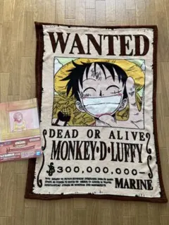 モンキー・D・ルフィ ブランケット & ONE PIECEクリアファイル セット