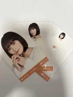 遠藤さくら ボアコート 3種コンプ 乃木坂46 生写真