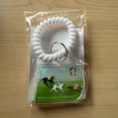 ウェルカムチャンス ノベルティグッズ