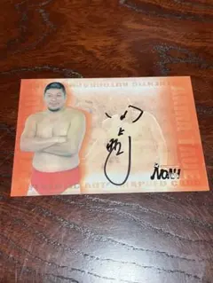 新品！直筆サイン署名！初版】森山大道 記録11号 中平卓馬 細江英公
