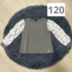 BeBe Petits Pois Vert 長袖 トップス 120