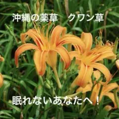 とらとらアンジュ様 リクエスト 2点 まとめ商品