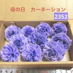 ソラフラワー　2352