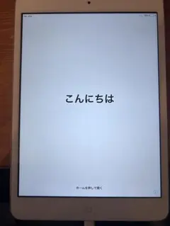 Apple iPad mini 2 32GB スペースグレー