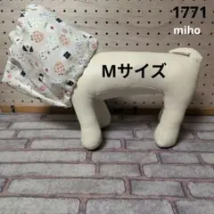 Item thumbnail for item e4988baa-88b3-4447-a1c9-d3bb22e1e70d