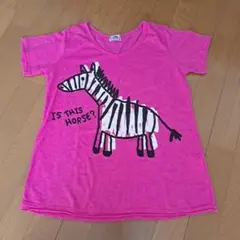 rough Tシャツ① しまうまのサムネイル