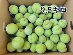 山形県産　摘果桃　サイズ不揃い　資材込み9.5キロのサムネイル