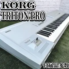 【動作良好】KORG TRITON Pro 76鍵 純正ハードケース付き KORG/コルグ TRITON PRO【76鍵盤】【EXB-PCM01/02搭載】【純正ハード