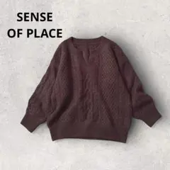 センスオブプレイス プルオーバーニット ケーブル編み キーネック トップス