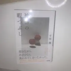 神様の暇つぶし 千早茜 文芸文庫