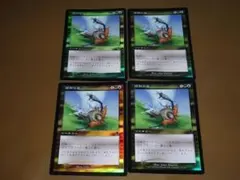 FOIL/時間の泉/アポカリプス/日本語版/MTG 4枚