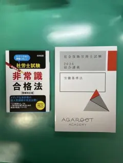 2024 司法書士 LEC 択一式到達度チェックテスト DVD11枚 2024 司法書士 LEC 択一式到達度チェックテスト DVD11枚 2024 LEC司法書士