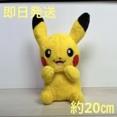 ピカチュウ　ぬいぐるみ　約20㎝　ポケモン　男の子　女の子　マスコット　美品