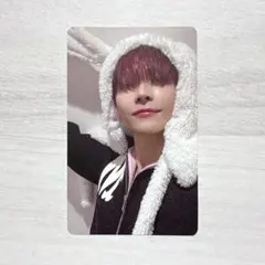 &TEAM 雪明かり　ニコラス　NICHOLAS アニマル　トレカ