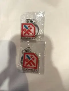 B.LEAGUE 広島ドラゴンフライズ メタルキーホルダー　２個セット　即購入⭕️