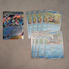 ポケモンカード メガゲッコウガ 進化ライン