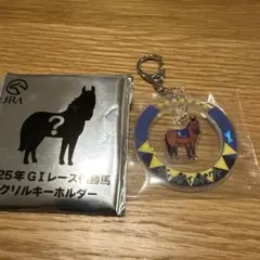 2005年有馬記念馬券 ディープインパクト アクリルキーホルダー - メルカリ