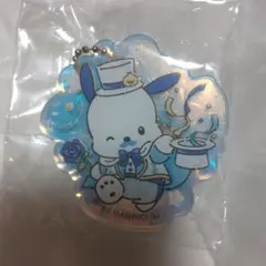 ポチャッコ アクキー サンリオ　オーロラ