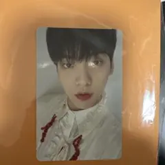 txt スビン トレカ fight or escape