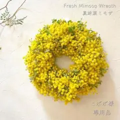 ☘️専用品☘️ フレッシュ ミモザ フル リース　パールアカシア