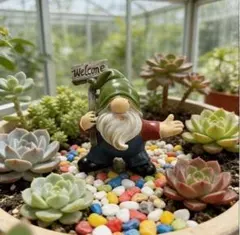 2026年最新】多肉植物 棚の人気アイテム - メルカリ