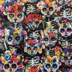 45cm カラフル　骸骨　猫　ねこ　ハロウィン　 輸入生地　USAコットン