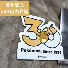 韓国限定 ポケモン 30周年記念 ステッカー 公式品 シール デデンネ